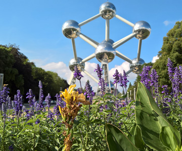 Klassenfahrt nach Belgien – klassenfahrten.de